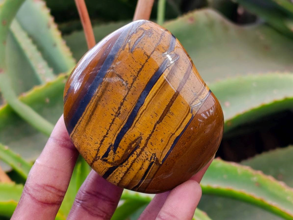 Polished Banded Tiger Iron with Tigers Eye Free Forms x 6 From South Africa - Toprock Gemstones and Minerals 