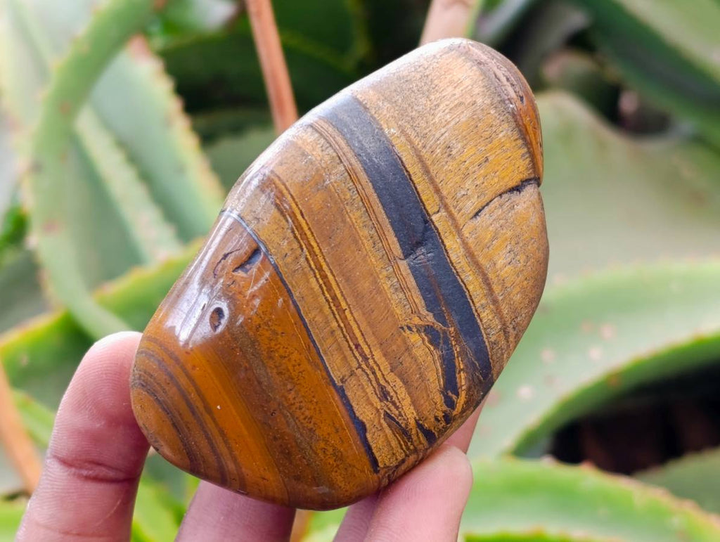 Polished Banded Tiger Iron with Tigers Eye Free Forms x 6 From South Africa - Toprock Gemstones and Minerals 