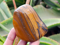 Polished Banded Tiger Iron with Tigers Eye Free Forms x 6 From South Africa