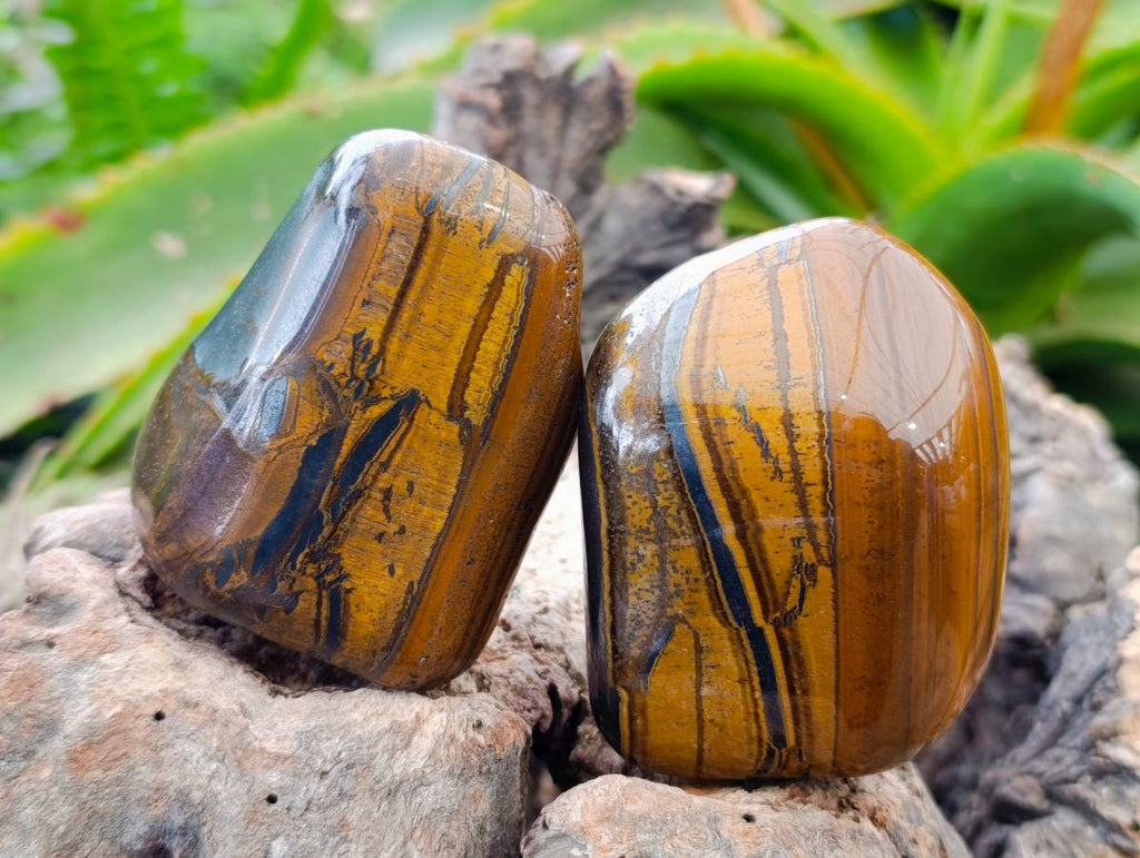 Polished Banded Tiger Iron with Tigers Eye Free Forms x 6 From South Africa - Toprock Gemstones and Minerals 