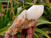 Natural Mixed Malagasy Quartz Clusters x 13 From Madagascar