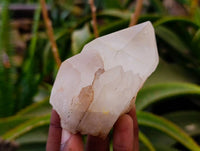 Natural Mixed Malagasy Quartz Clusters x 13 From Madagascar