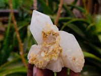 Natural Mixed Malagasy Quartz Clusters x 13 From Madagascar