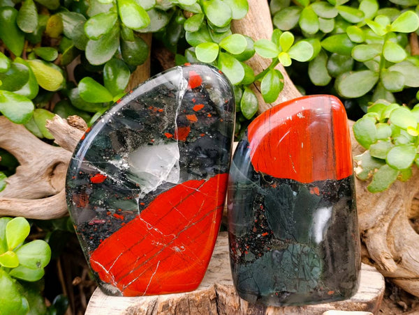 Polished Bloodstone Standing Free Forms x 2 From Swaziland