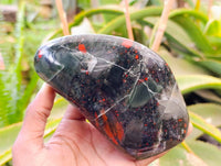 Polished Bloodstone Standing Free Forms x 2 From Swaziland