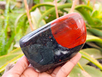 Polished Bloodstone Standing Free Forms x 2 From Swaziland