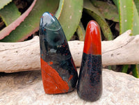 Polished Bloodstone Standing Free Forms x 2 From Swaziland