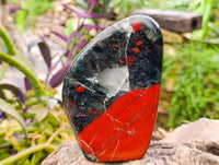 Polished Bloodstone Standing Free Forms x 2 From Swaziland
