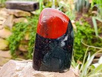 Polished Bloodstone Standing Free Forms x 2 From Swaziland
