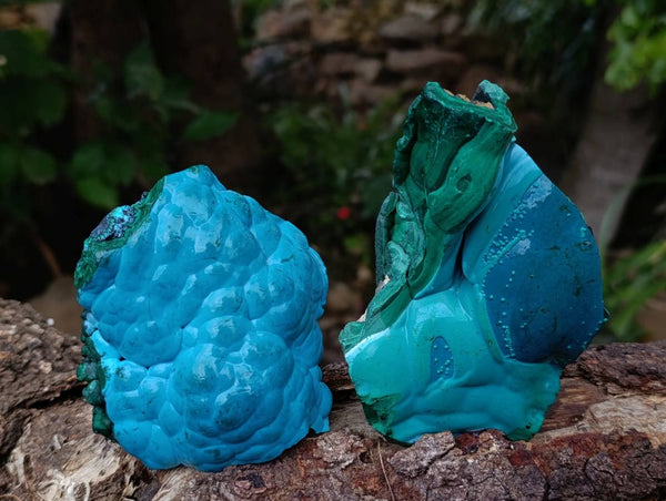 Natural Malachite Malacolla Botryoidal Chrysocolla Specimens x 4 From Kulukuluku, Congo