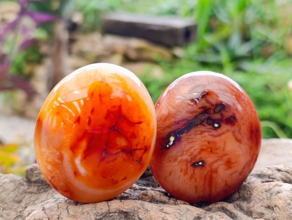 Polished Carnelian Agate Palm Stones x 20 From Madagascar - Toprock Gemstones and Minerals 