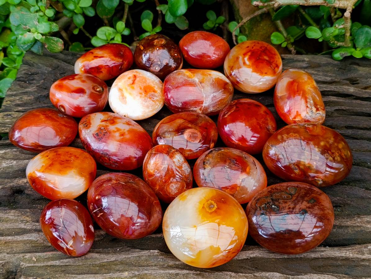 Polished Carnelian Agate Palm Stones x 20 From Madagascar - Toprock Gemstones and Minerals 