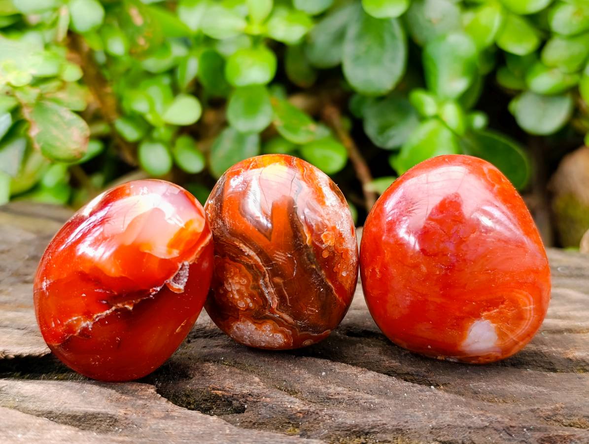 Polished Carnelian Agate Palm Stones x 20 From Madagascar - Toprock Gemstones and Minerals 