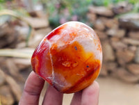 Polished Carnelian Agate Palm Stones x 20 From Madagascar