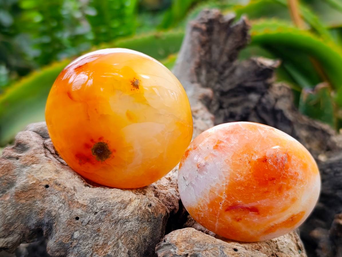Polished Carnelian Agate Palm Stones x 20 From Madagascar - Toprock Gemstones and Minerals 