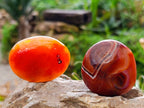 Polished Carnelian Agate Palm Stones x 20 From Madagascar - Toprock Gemstones and Minerals 