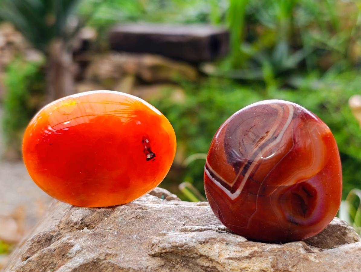 Polished Carnelian Agate Palm Stones x 20 From Madagascar - Toprock Gemstones and Minerals 