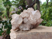Natural Smokey Phantom Quartz Clusters x 2 From Luena, Congo