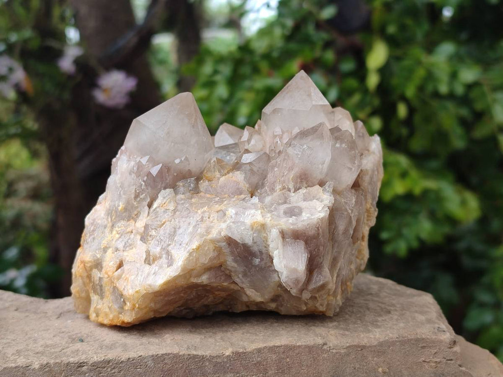 Natural Smokey Phantom Quartz Clusters x 2 From Luena, Congo - Toprock Gemstones and Minerals 