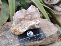 Natural Smokey Phantom Quartz Clusters x 2 From Luena, Congo