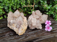Natural Smokey Phantom Quartz Clusters x 2 From Luena, Congo