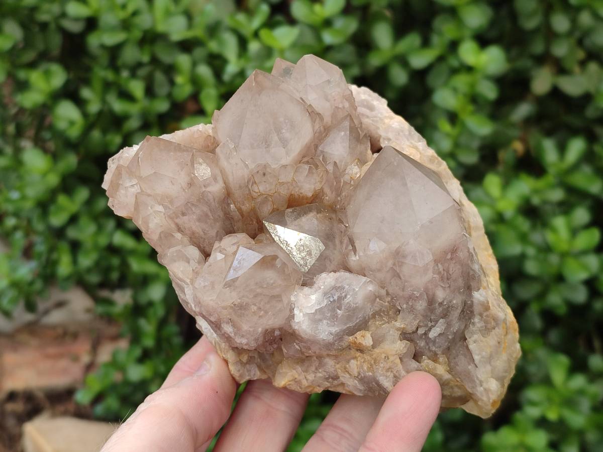 Natural Smokey Phantom Quartz Clusters x 2 From Luena, Congo - Toprock Gemstones and Minerals 