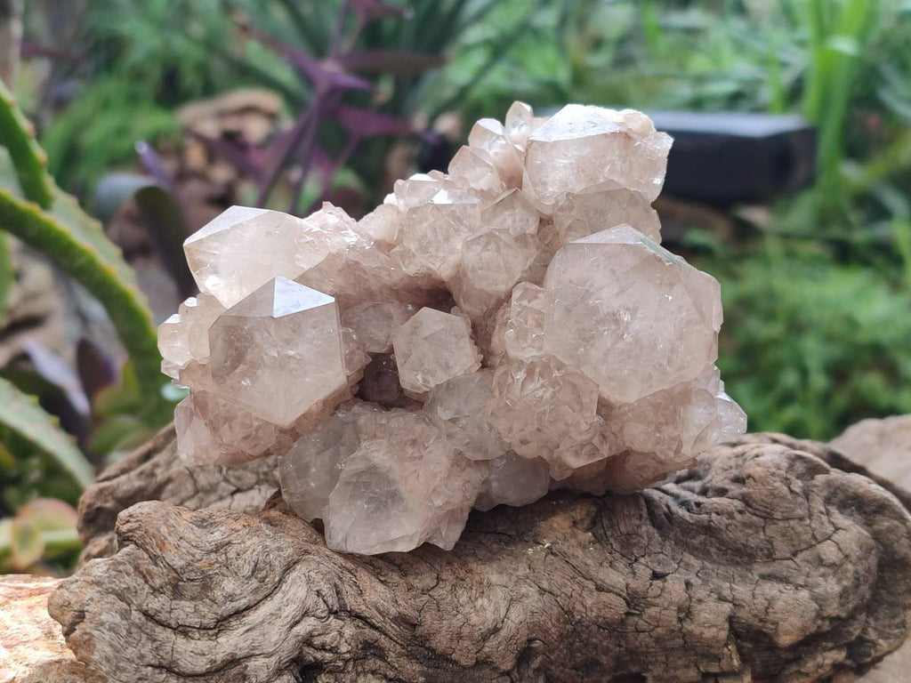 Natural Smokey Phantom Quartz Clusters x 2 From Luena, Congo - Toprock Gemstones and Minerals 