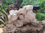 Natural Smokey Phantom Quartz Clusters x 2 From Luena, Congo - Toprock Gemstones and Minerals 