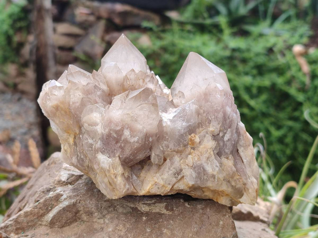 Natural Smokey Phantom Quartz Clusters x 2 From Luena, Congo - Toprock Gemstones and Minerals 