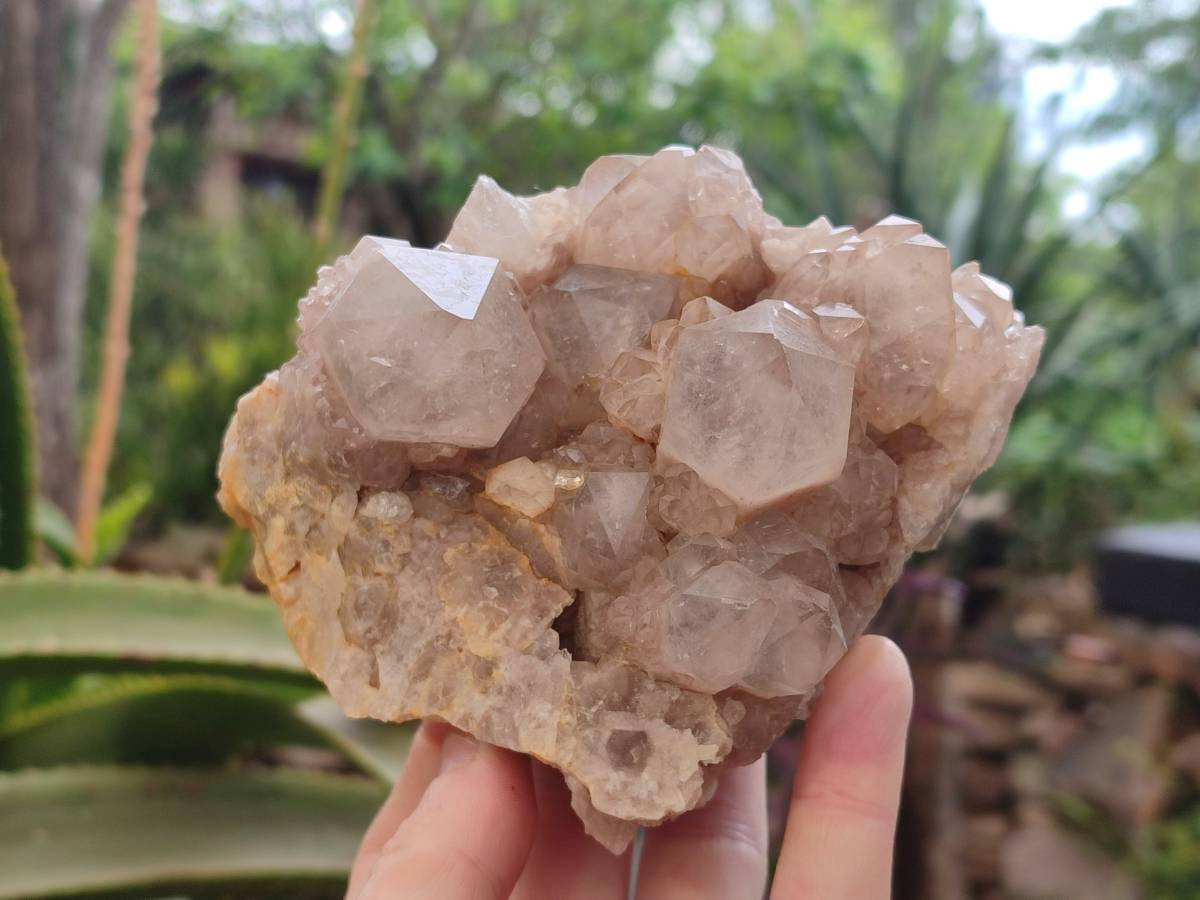 Natural Smokey Phantom Quartz Clusters x 2 From Luena, Congo - Toprock Gemstones and Minerals 