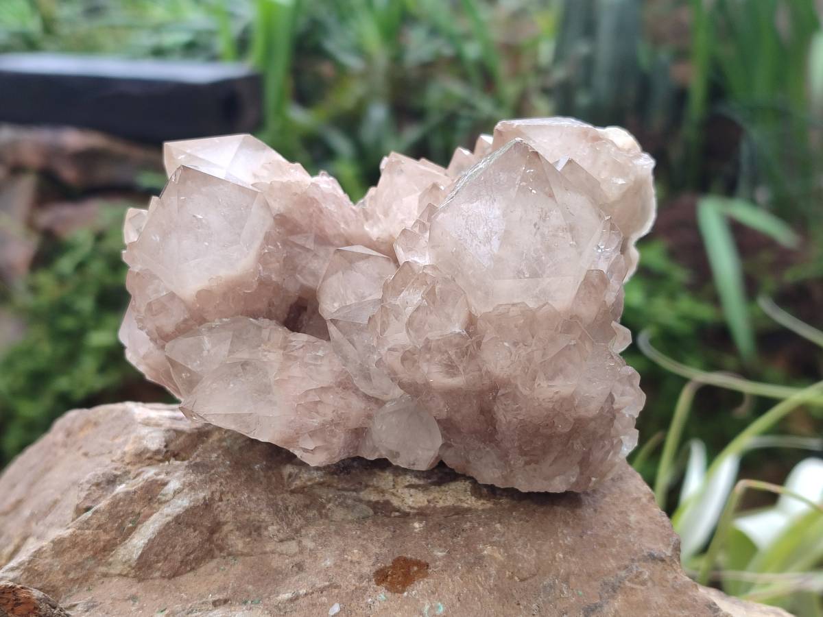 Natural Smokey Phantom Quartz Clusters x 2 From Luena, Congo - Toprock Gemstones and Minerals 