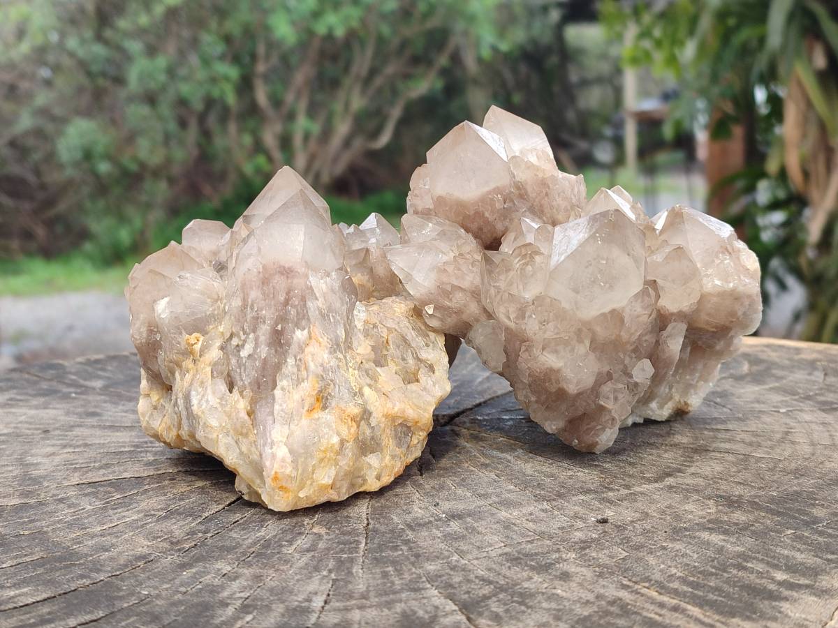 Natural Smokey Phantom Quartz Clusters x 2 From Luena, Congo - Toprock Gemstones and Minerals 