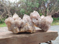 Natural Smokey Phantom Quartz Clusters x 2 From Luena, Congo