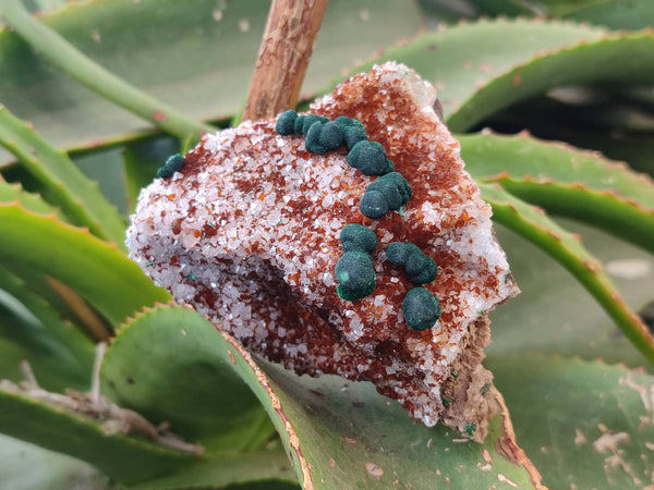 Natural Crystalline Ball Malachite and Drusy Quartz On Dolomite Matrix Specimens x 3 From Kambove, Congo
