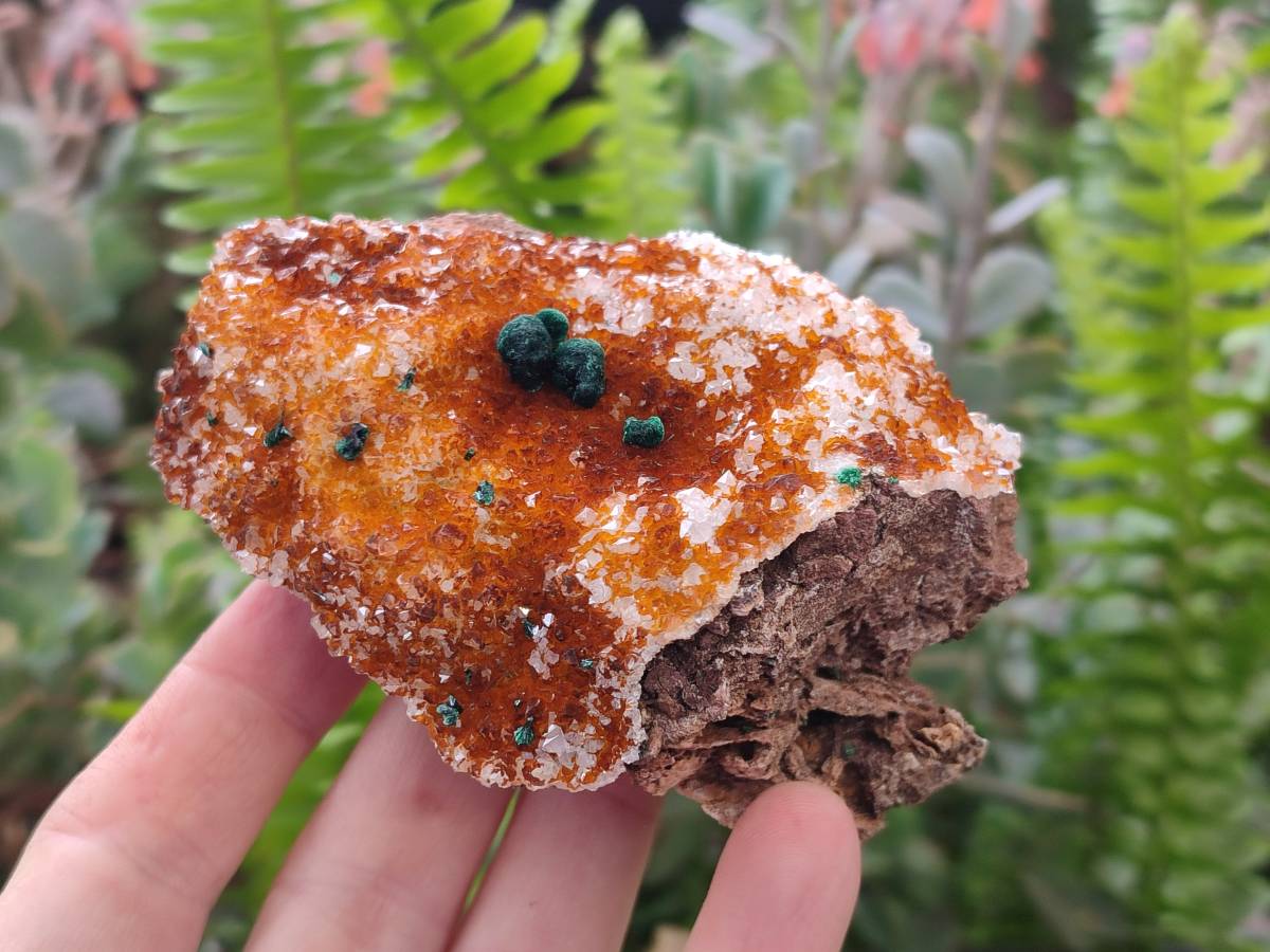Natural Crystalline Ball Malachite and Drusy Quartz On Dolomite Matrix Specimens x 3 From Kambove, Congo - Toprock Gemstones and Minerals 