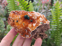 Natural Crystalline Ball Malachite and Drusy Quartz On Dolomite Matrix Specimens x 3 From Kambove, Congo
