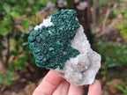 Natural Crystalline Ball Malachite and Drusy Quartz On Dolomite Matrix Specimens x 3 From Kambove, Congo - Toprock Gemstones and Minerals 