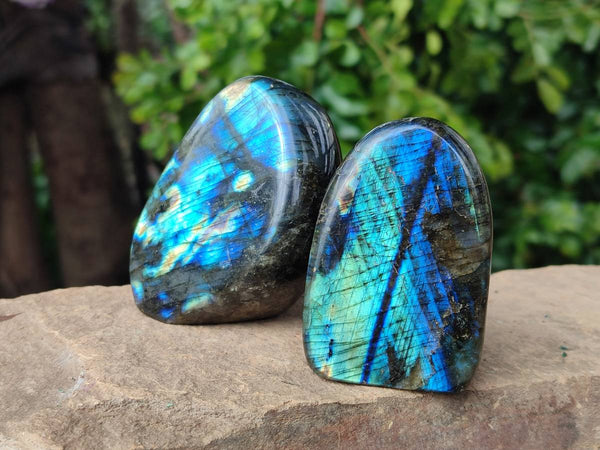 Polished Labradorite Standing Free Forms x 6 From Tulear, Madagascar
