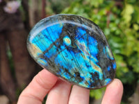 Polished Labradorite Standing Free Forms x 6 From Tulear, Madagascar