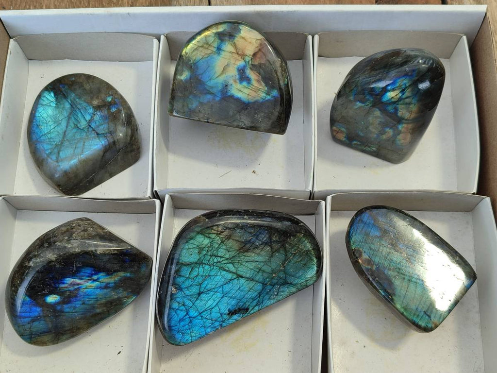 Polished Labradorite Standing Free Forms x 6 From Tulear, Madagascar - Toprock Gemstones and Minerals 