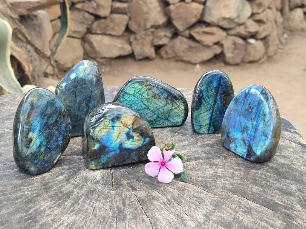 Polished Labradorite Standing Free Forms x 6 From Tulear, Madagascar - Toprock Gemstones and Minerals 