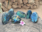 Polished Labradorite Standing Free Forms x 6 From Tulear, Madagascar - Toprock Gemstones and Minerals 