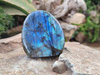 Polished Labradorite Standing Free Forms x 6 From Tulear, Madagascar