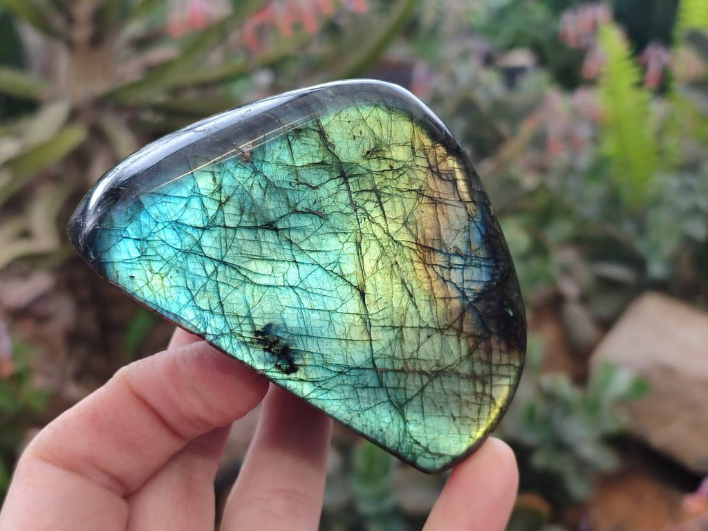 Polished Labradorite Standing Free Forms x 6 From Tulear, Madagascar - Toprock Gemstones and Minerals 
