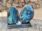 Polished Labradorite Standing Free Forms x 6 From Tulear, Madagascar - Toprock Gemstones and Minerals 