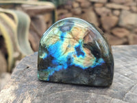 Polished Labradorite Standing Free Forms x 6 From Tulear, Madagascar