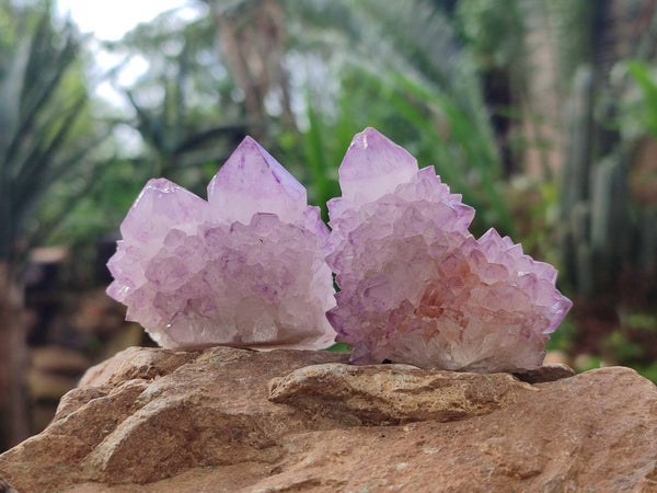 Natural Amethyst Spirit Quartz Clusters x 12 From Boekenhouthoek, South Africa