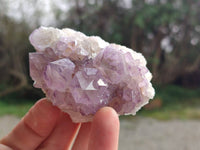 Natural Amethyst Spirit Quartz Clusters x 12 From Boekenhouthoek, South Africa