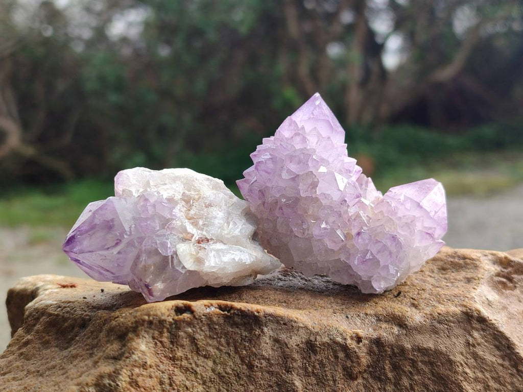 Natural Amethyst Spirit Quartz Clusters x 12 From Boekenhouthoek, South Africa - Toprock Gemstones and Minerals 