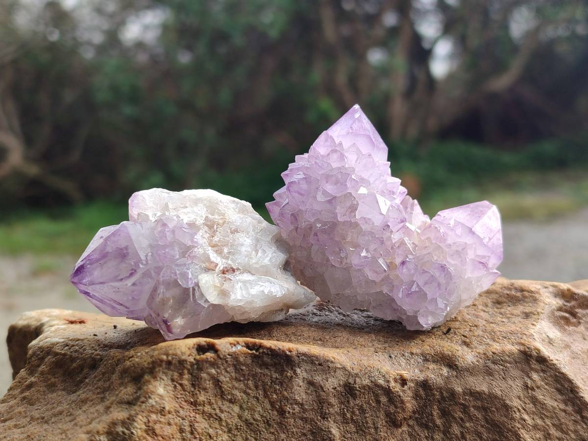 Natural Amethyst Spirit Quartz Clusters x 12 From Boekenhouthoek, South Africa - Toprock Gemstones and Minerals 